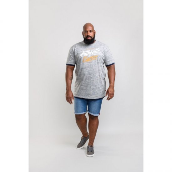 D555 Finn T-shirt Grey - T-shirts - Grote Maten T-shirts Heren