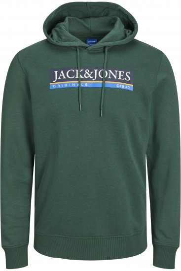 Jack & Jones Codyy Hoodie Green - Sweaters & hoodies - Sweaters & Hoodies Grote Maten Heren