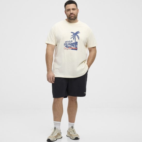 North Latitude T-Shirt Printed Off-White - T-shirts - Grote Maten T-shirts Heren