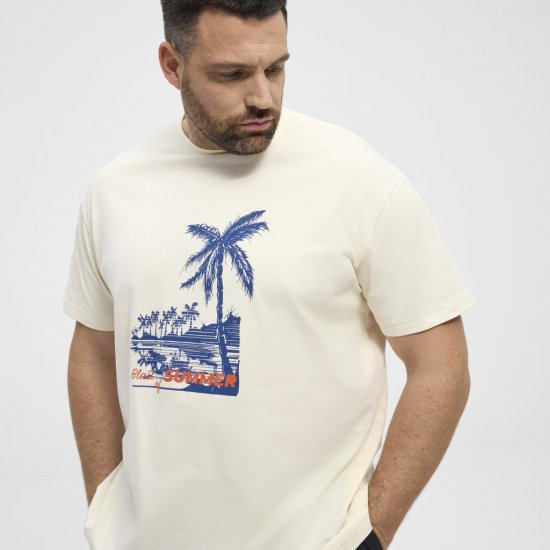 North Latitude T-Shirt Printed Off-White - T-shirts - Grote Maten T-shirts Heren