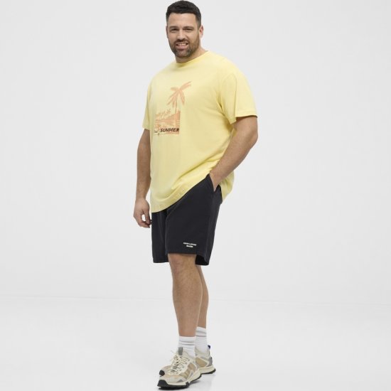 North Latitude T-Shirt Printed Yellow - T-shirts - Grote Maten T-shirts Heren
