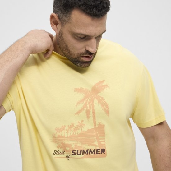 North Latitude T-Shirt Printed Yellow - T-shirts - Grote Maten T-shirts Heren