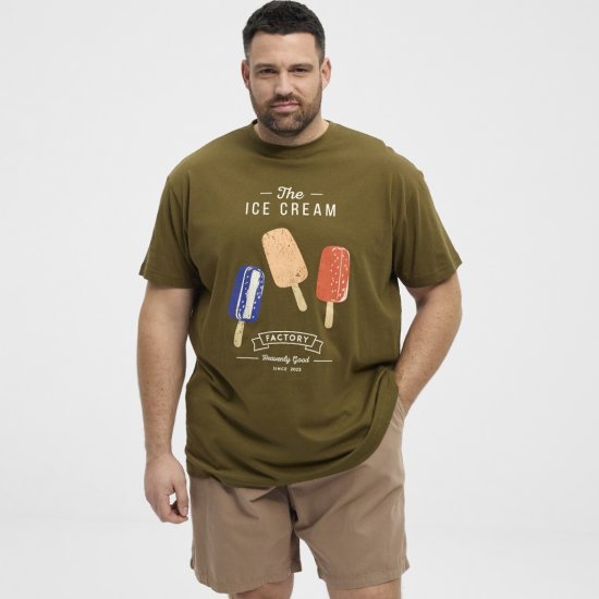 North Latitude T-Shirt Ice Cream Green - T-shirts - Grote Maten T-shirts Heren