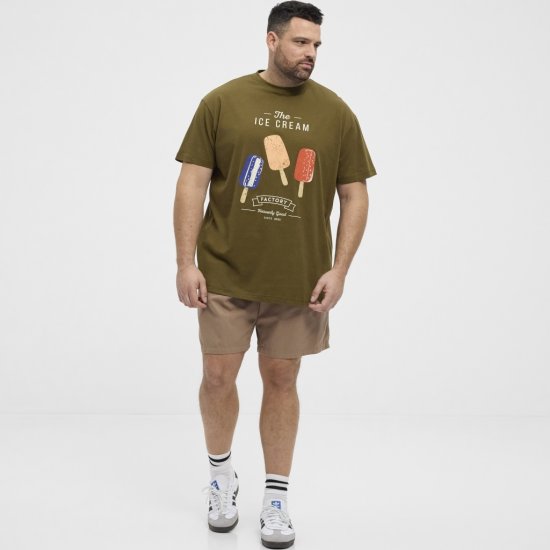 North Latitude T-Shirt Ice Cream Green - T-shirts - Grote Maten T-shirts Heren